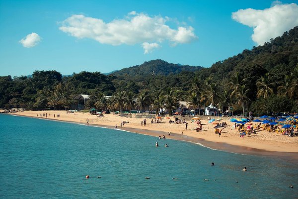 Explore london"s historic districts with free walking tours: uncover hidden gems and timeless stories